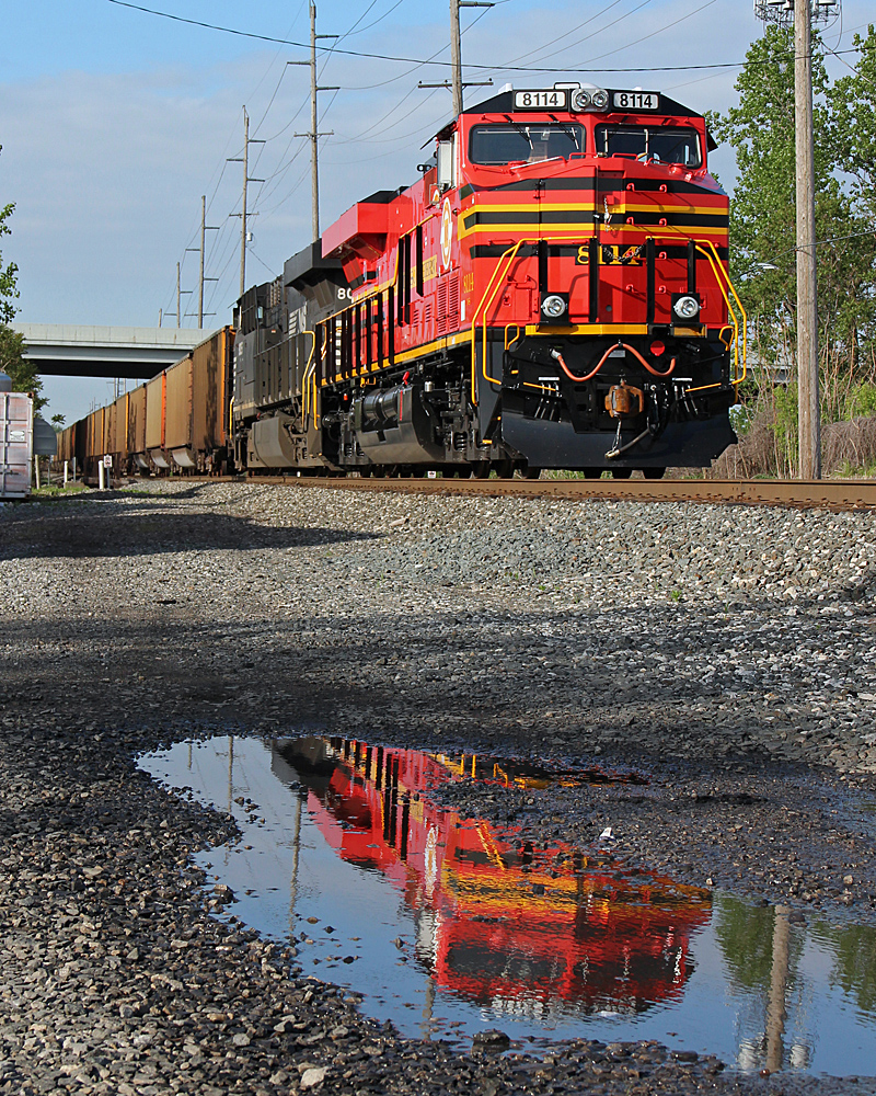 NS 8114 photo here